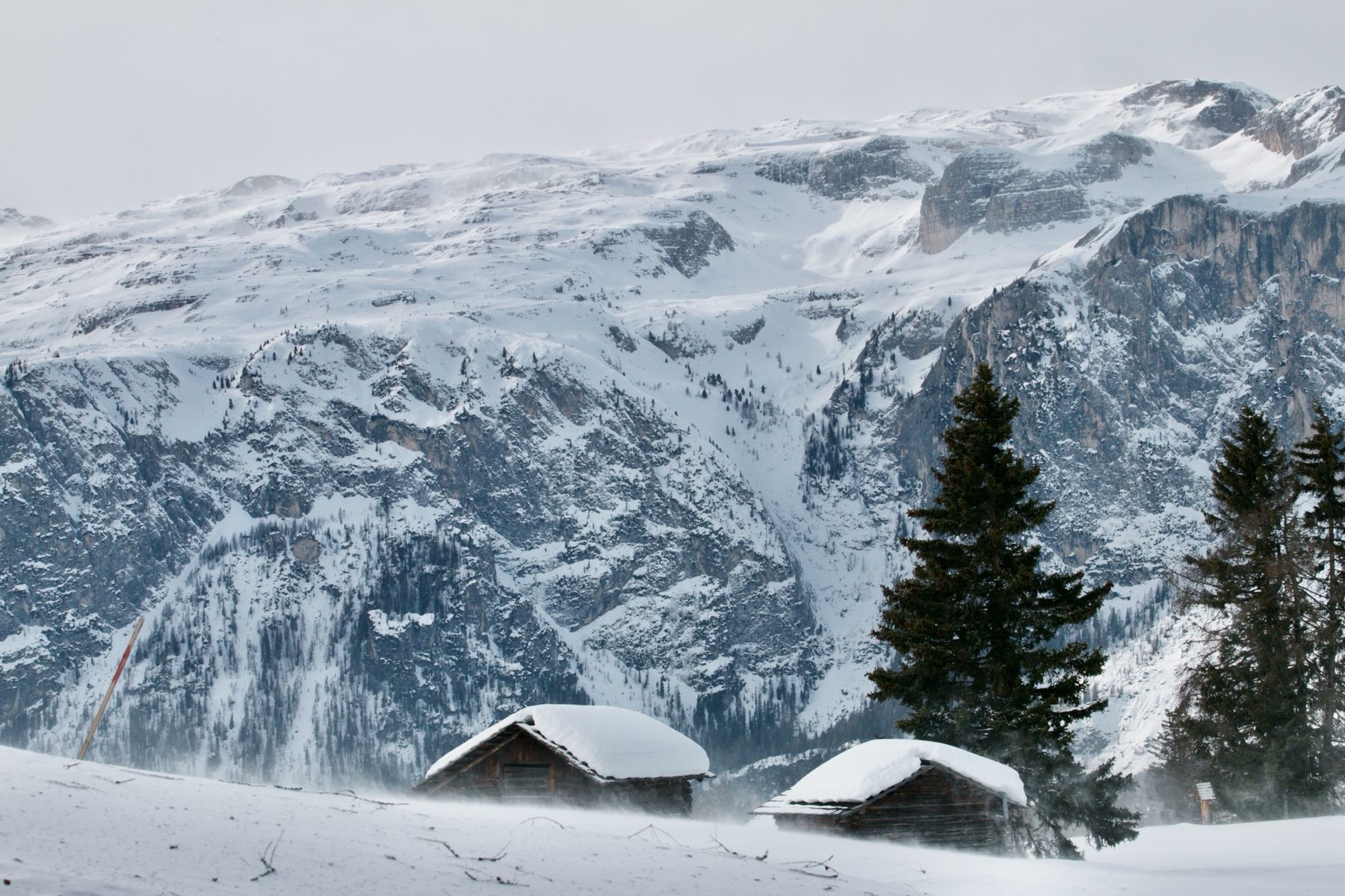 Two snow-covered hay barns in blowing snow below a Dolomites plateau
